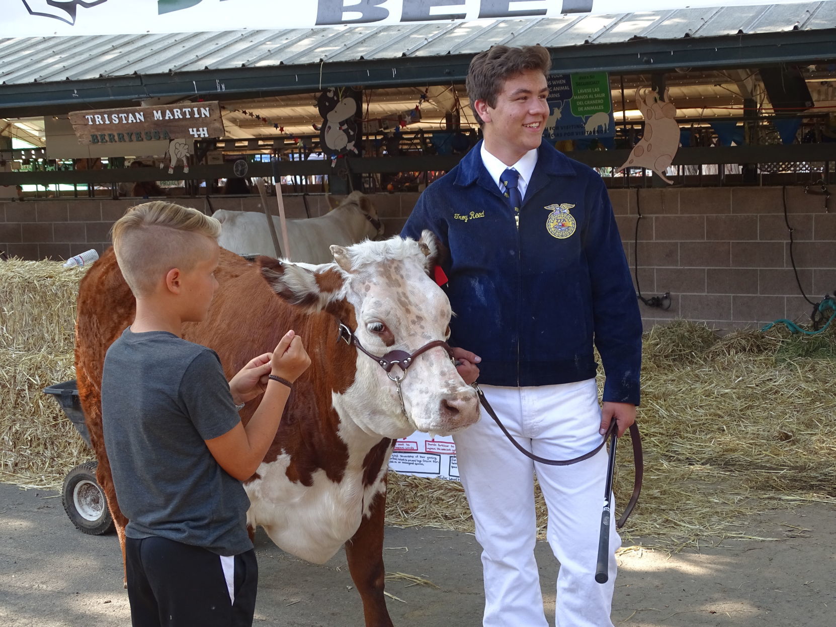 Napa Town & Country Fair 2019